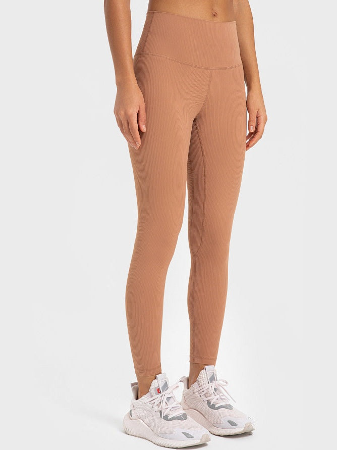 Light Purple And White