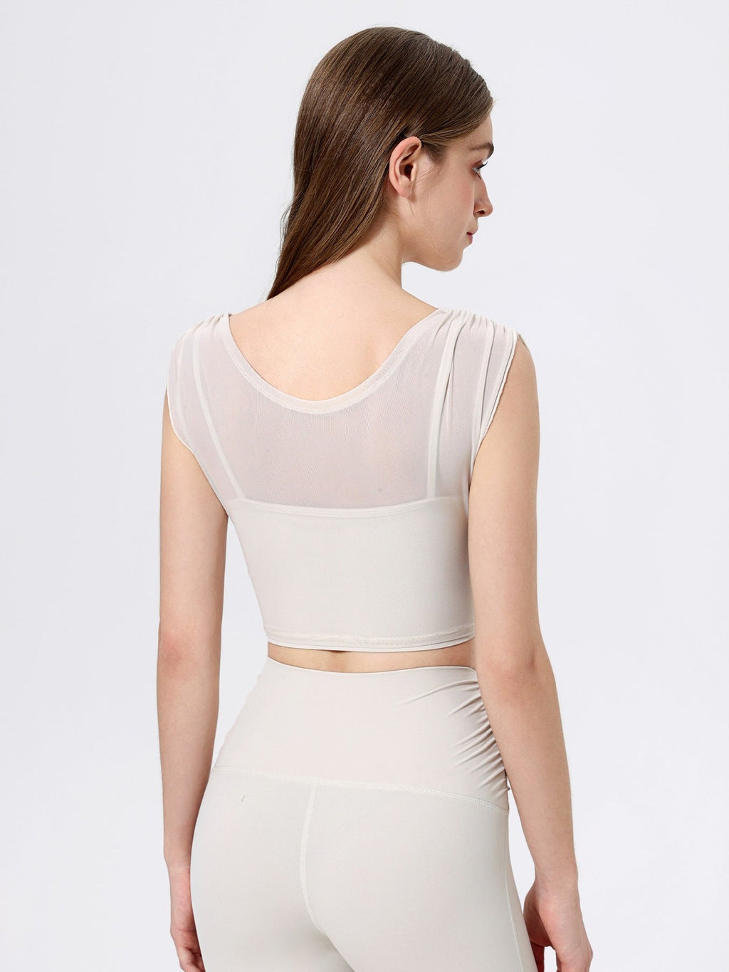 Saffron Crocus Purple