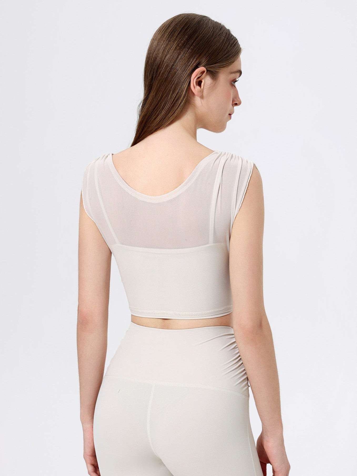 Saffron Crocus Purple