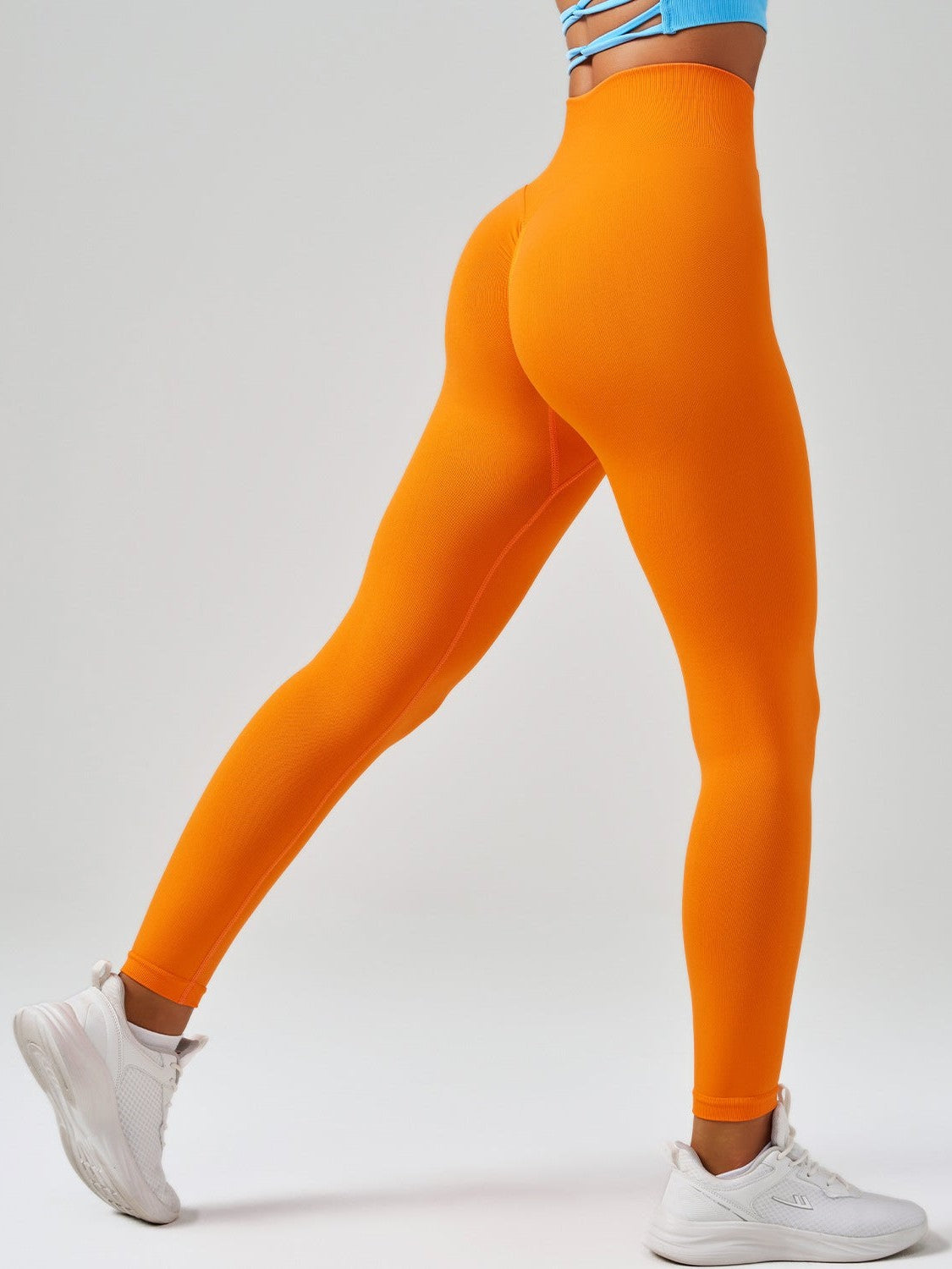 Light Purple Light Purple